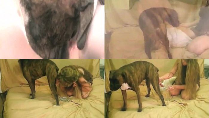 人兽兽交欧美漂亮少女周末在家和宠物犬做爱操逼视频