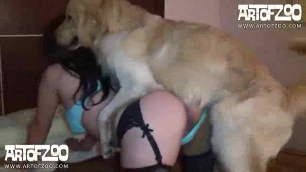 人兽兽交欧美妇女夜晚一人在家帮黄毛狗手淫自慰视频