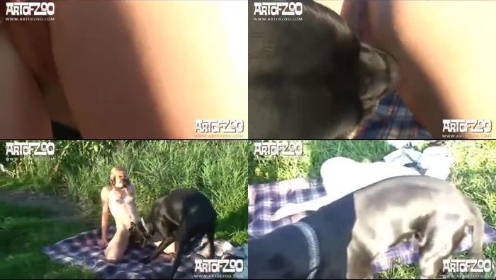 人兽兽交周末的天气晴朗欧美小少妇拉着罗威纳犬在野外玩被狗操的哇哇叫视频