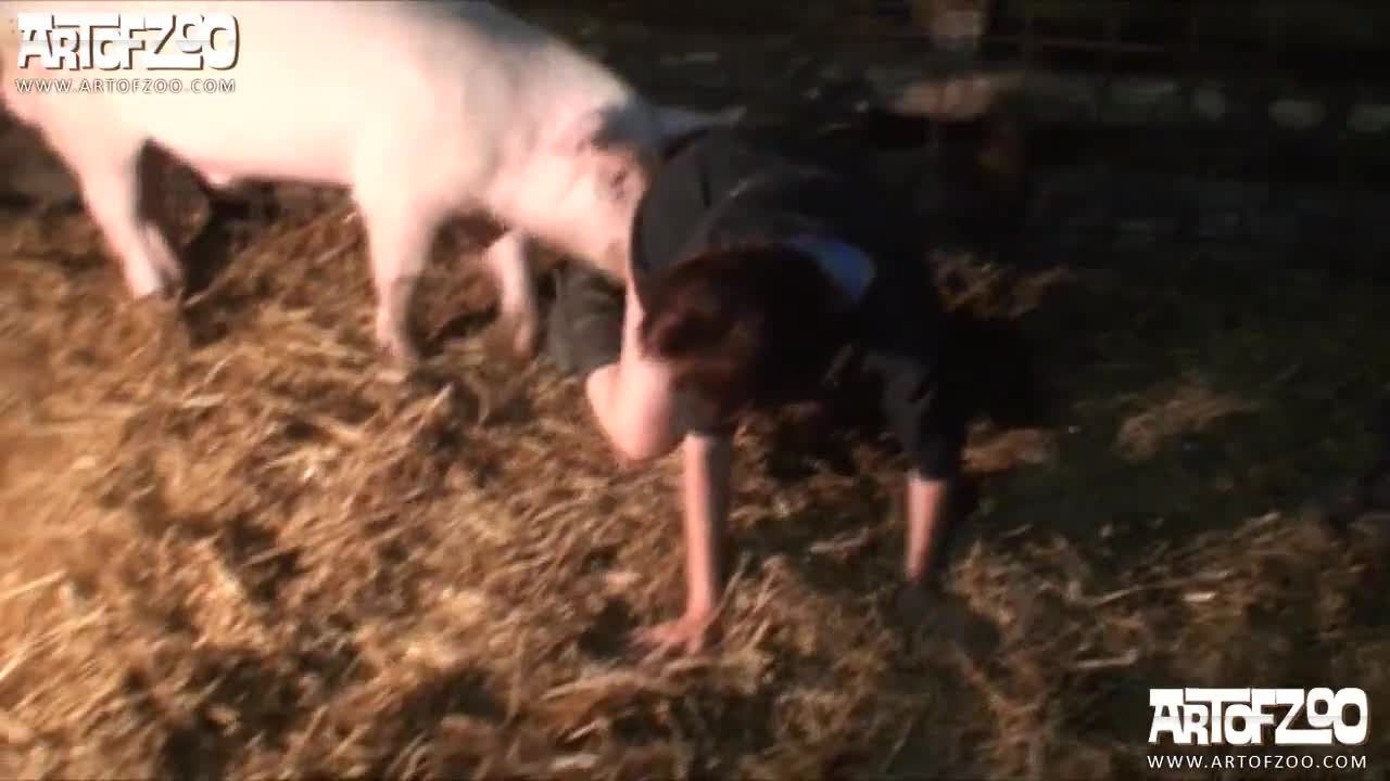 人兽兽交欧美少妇和狗操逼还不够还要去猪圈和猪操逼视频