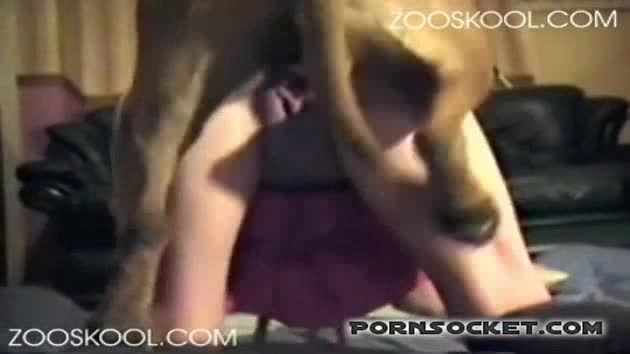 人兽兽交欧美白白嫩嫩身材修长苗条性感的少妇穿着黑丝晚上在家与黄毛宠物犬性交操逼舔逼视频