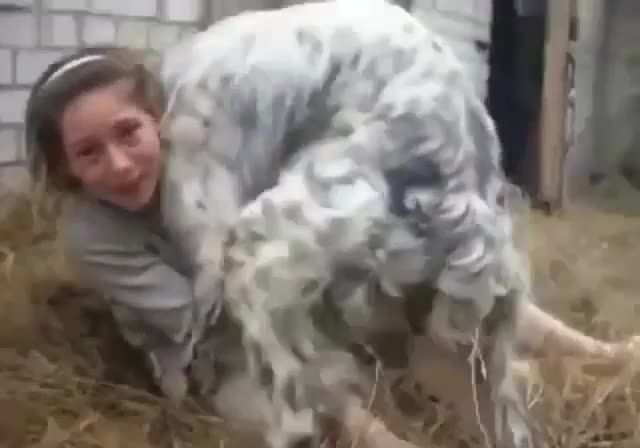 欧美幼女在野外差点被一条狗强奸了视频