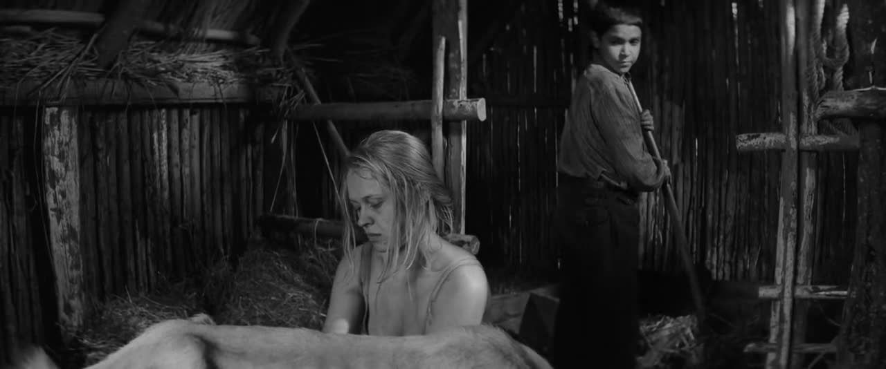 欧美骚妈和幼男乱伦做爱嫌弃小鸡巴于是在羊圈操大公羊视频