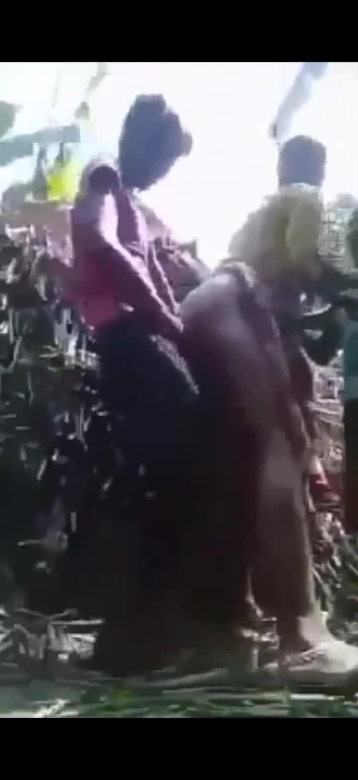 亚洲黑人户外芭蕉树下母子乱伦小马拉大车小屁孩肏妈妈视频