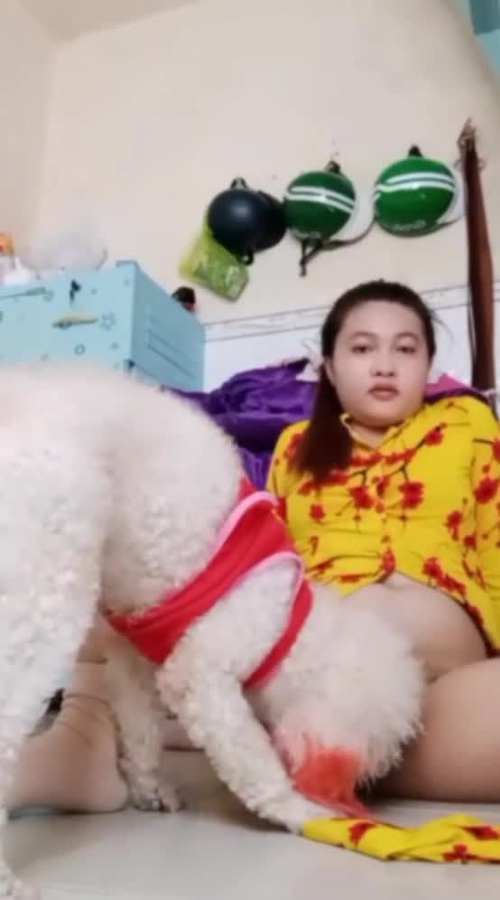 性饥渴的国产淫妇乱伦舔完泰迪狗屌又去舔3岁小男孩的鸡巴视频