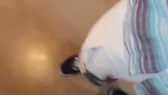 欧美懵懂幼幼在上厕所被父亲闯入大鸡巴强行插嘴泻火视频