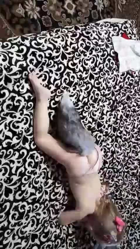 邪恶的鬼父把肛塞插入4岁小女孩雏菊穴视频幼女扮演娇嫩狐狸女在床上翘屁狗爬